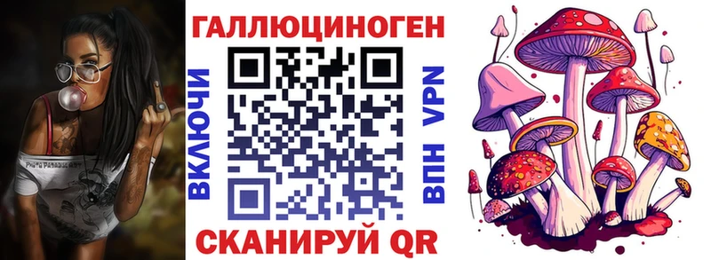 Псилоцибиновые грибы Cubensis  Купить  Североуральск 